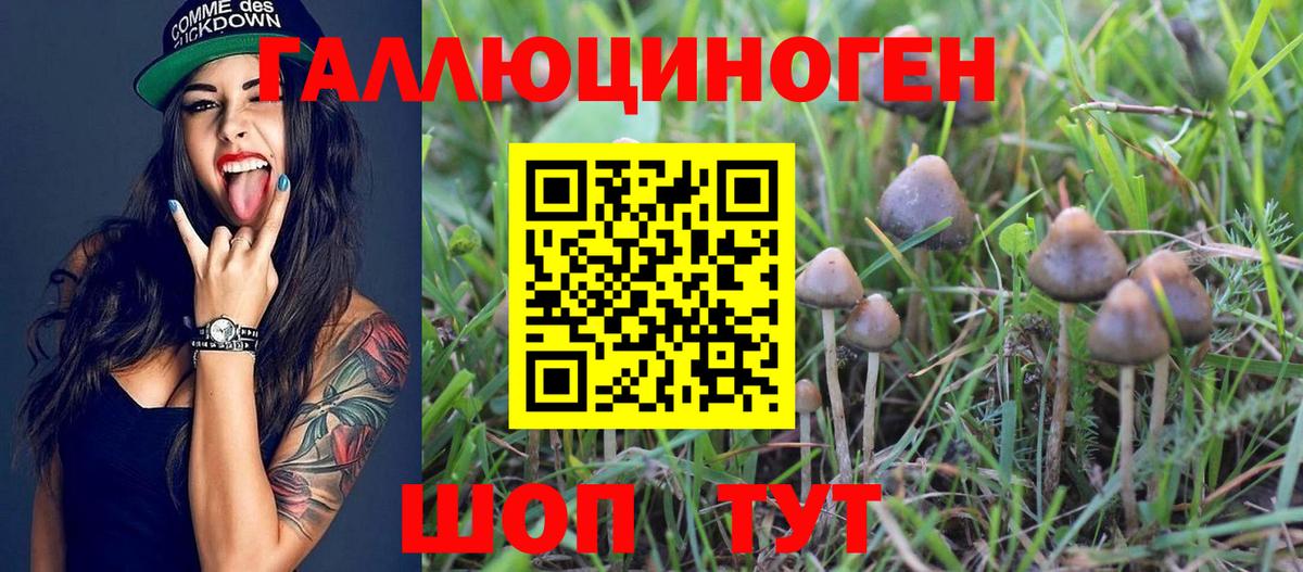 Гуково  хочу   Вход с VPN  Галлюциногенные грибы Cubensis 