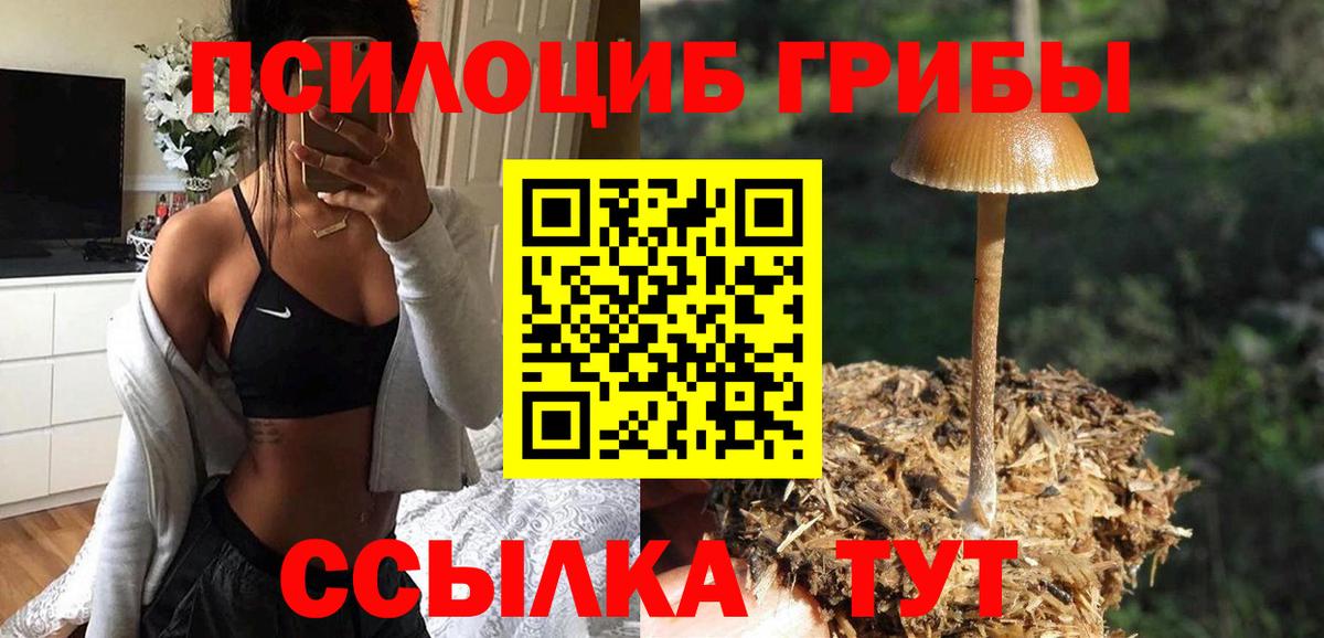 Псилоцибиновые грибы мухоморы Гуково
